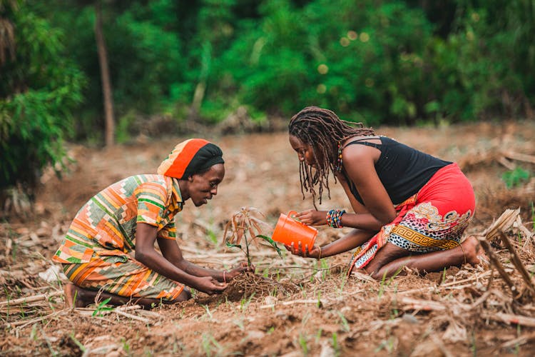 Ugandan women farming and harvesting vegetables at SHUL agrobusiness centre