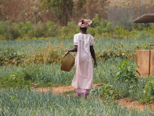 African woman working in farm field